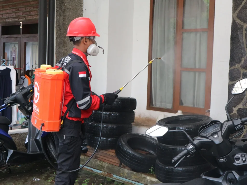 Termite Damage Attorney in Florida  Legal Help